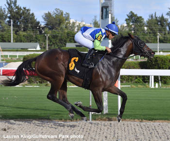 Navy Goat, Dangerous Ride Capture Florida-Bred Juvenile Stakes At Gulfstream