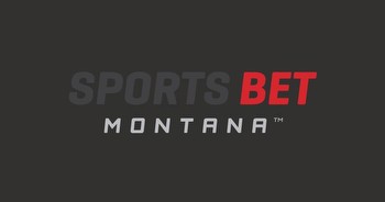 Nearly One Million Dollars Bet on Super Bowl in Montana