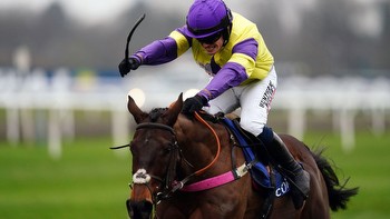 Nemean Lion to run in Champion Hurdle at the Cheltenham Festival