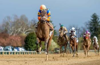 Nest can win Belmont Stakes if distance moves her up