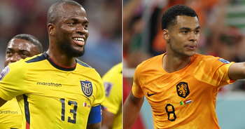 Netherlands vs. Ecuador World Cup time, live stream, TV channel, lineups, odds for FIFA Qatar 2022 match