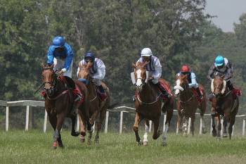 New horse racing season gets underway at Ngong Racecourse