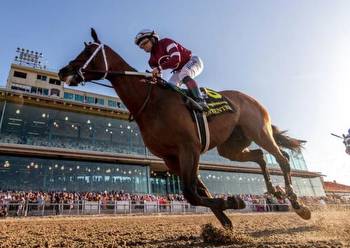 New Mexico Sports Betting Sites For Horse Racing