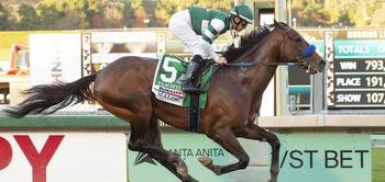 new stars shine bright in weekend horse racing