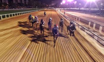New York Sen. Addabbo Introduces Fixed-Odds Horse Racing Bill
