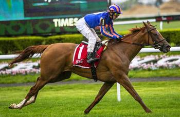 New York Stakes 2022: Odds, pace projection, preview, more