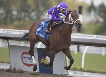 New York Thunder Brings The Rain At Woodbine