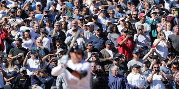 New York Yankees vs. Baltimore Orioles: Odds, pitching matchups