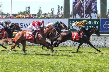 New Zealand 1000 Guineas 2023 Field, Tips, Betting Odds, Results