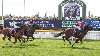 New Zealand Horse Racing Tips