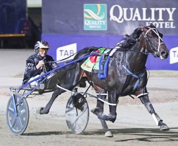 New Zealand pacing great celebrated with Melton feature
