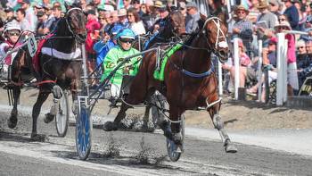 New Zealand Trotting Cup preview: Kiwi star Akuta has everything in favour