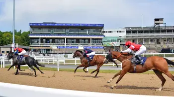 Newcastle afternoon racing tips: Best bets for Thursday, November 2