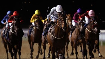 Newcastle each-way tip: Badri primed to hit the ground running on stable debut