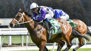 Newcastle tips: Waller’s gelding has all the right Moves