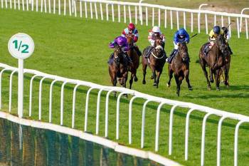 Newmarket best bet: Conditions look ideal for improving Way Of Life
