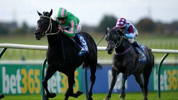 Newmarket Friday review: Pogo wins Challenge Stakes