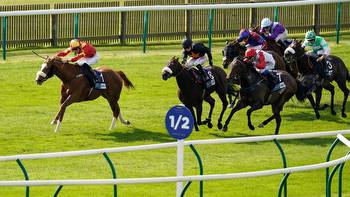 Newmarket Rowley Mile course guide and key statistics for the Cambridgeshire Meeting