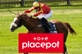 Newmarket tips: Templegate's placepot selections for 2000 Guineas day on first World Pool outing of the year