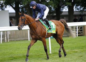 Newmarket: Will The Rain Dampen City Of Troy's Dewhurst Show?