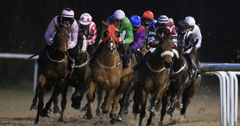 Newsboy's horse racing selections for Monday's three meetings, including Wolverhampton Nap
