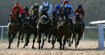 Newsboy's horse racing tips for Wednesday's three cards, including Wolverhampton Nap