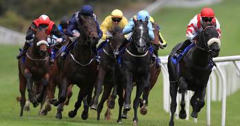 Newsboy's horseracing selections for Monday's four meetings, including Pontefract Nap