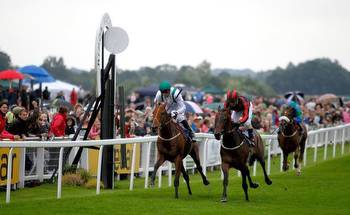 Newsboy’s horseracing tips for Thursday’s five meetings, including Ripon Nap