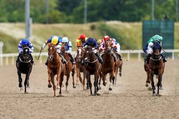Newsboy’s horseracing tips for Thursday’s four meetings, including Chelmsford Nap