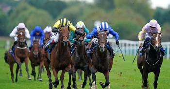 Newsboy's Sunday NAP and horse racing tips for the action at Leicester and Carlisle