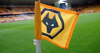 Next Wolves Manager Odds & Analysis