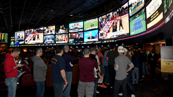 NFL owners vote to allow physical sportsbooks at stadiums to take bets during games