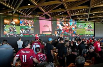 NFL owners vote to allow sportsbooks in stadiums on game days: Sources