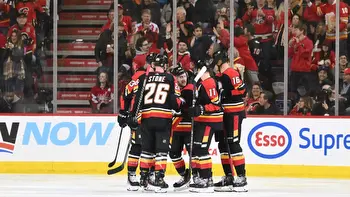 NHL Best Bets: Coyotes vs. Flames Game Picks
