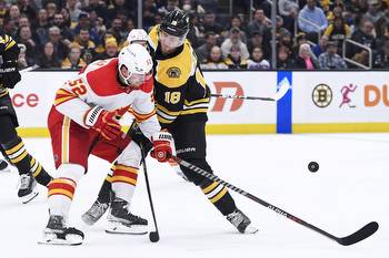 NHL Predictions: Feb 28 Boston Bruins vs Calgary Flames