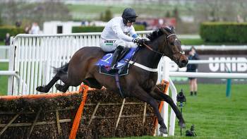 Nicky Henderson blown away as Champion Hurdle favourite Constitution Hill bolts up at Newcastle