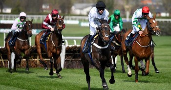 Nicky Henderson confirms Constitution Hill will remain over hurdles this season