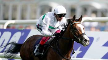 Nicol's Notes: horses to follow, Goodwood hints and nap of meeting