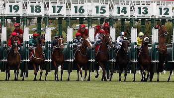 Nine odds-on favourite to take the Melbourne Cup