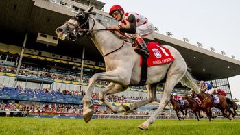Nine Things You Need to Know About the 2023 Ricoh Woodbine Mile