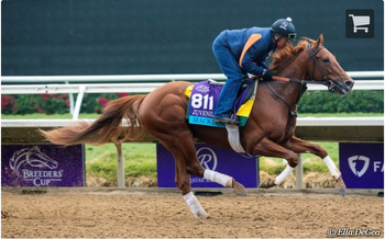 no longer has Kentucky Derby in his sights