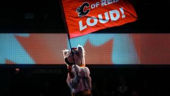No love for Harvey: Calgary Flames' mascot voted league's worst