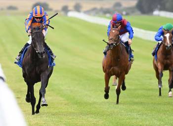 No Nay Never Double At The Curragh As Meditate Strikes