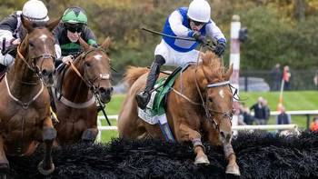 Noah And The Ark Sails to Victory in Grand National Steeplechase at Far Hills