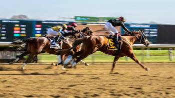 Noel’s Weekend Winners: All Systems Go at Aqueduct