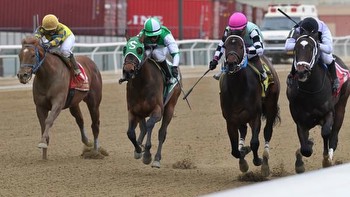 Noel’s Weekend Winners: Playing the Late Daily Double at Aqueduct