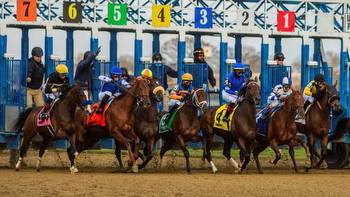 Noel’s Weekend Winners: Strategy for Saturday’s Late Double at Aqueduct