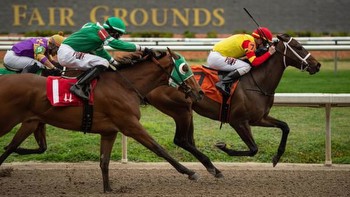 Noel’s Weekend Winners: Value Plays on Lecomte Stakes Undercard