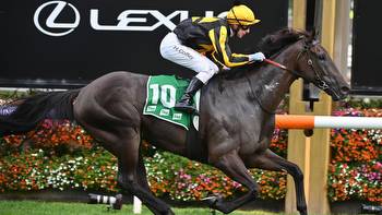 Nonconformist will be chasing a gold ticket to the Caulfield Cup in Saturday's Mornington Cup