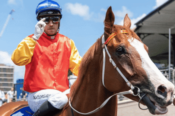 North Afrika The Right Horse To Give Wiggins Another Mackay Cup